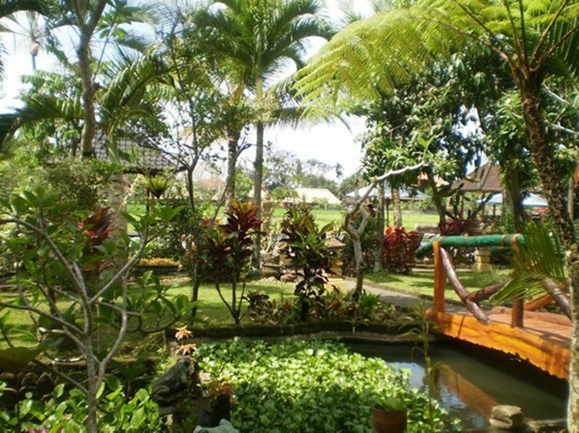 Cendana Resort & Spa By Mahaputra Ubud Exterior foto